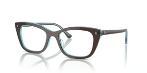 8366 - Brown On Transparent Blue with Clear Lenses