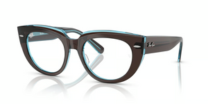 8366 - Brown On Transparent Blue with Clear Lenses
