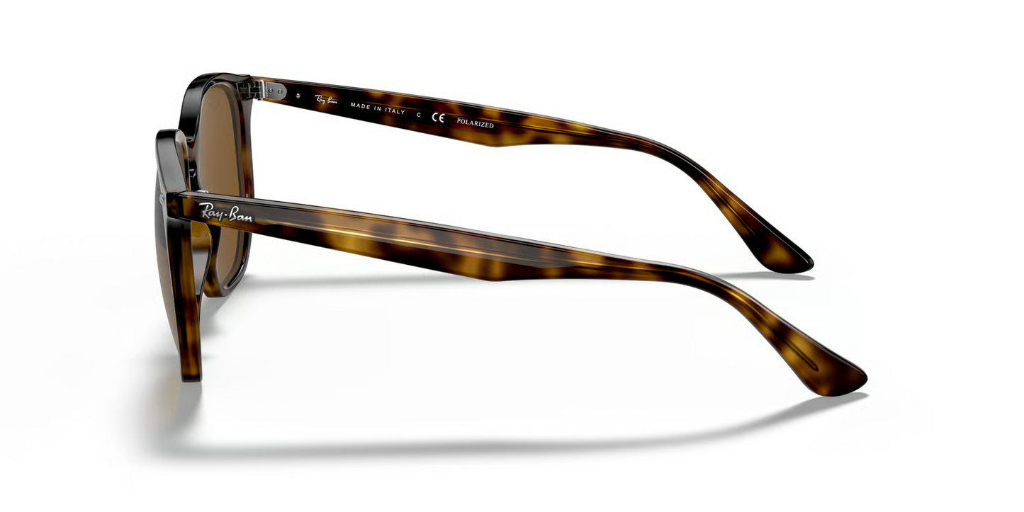 Ray-Ban RB4306 Sunglasses