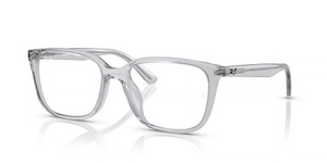 8411 - Transparent Light Grey with Clear Lenses