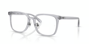 8415 - Transparent Grey with Clear Lenses