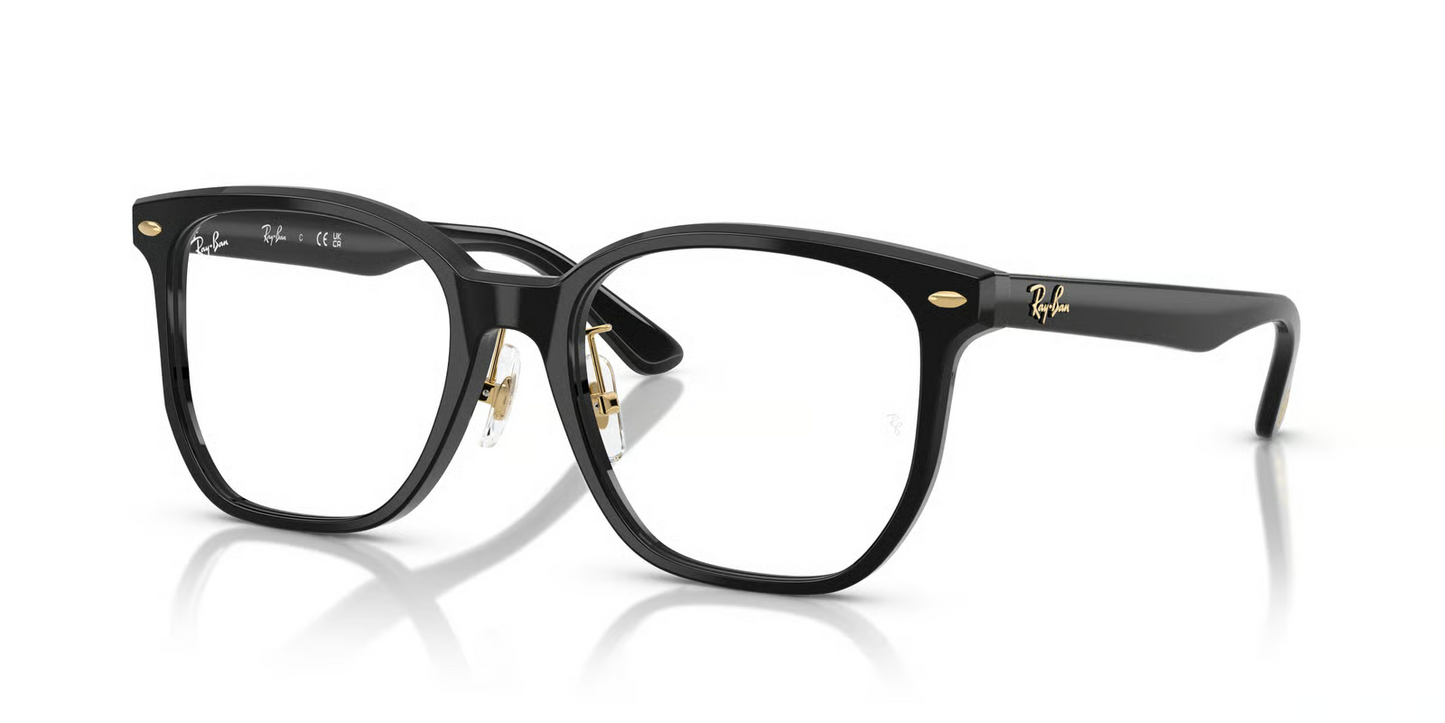 Ray-Ban Optical RX5425D Eyeglasses