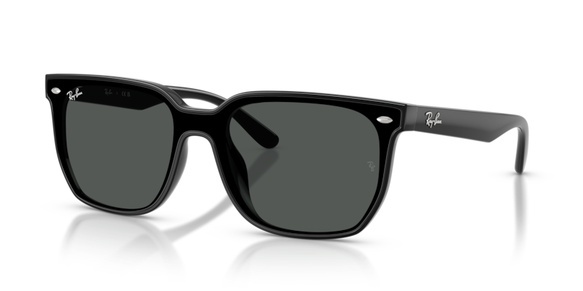 Ray-Ban RB4466D Sunglasses