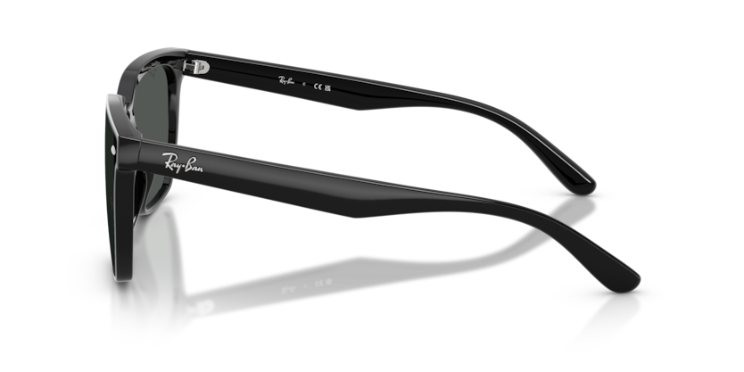 Ray-Ban RB4466D Sunglasses