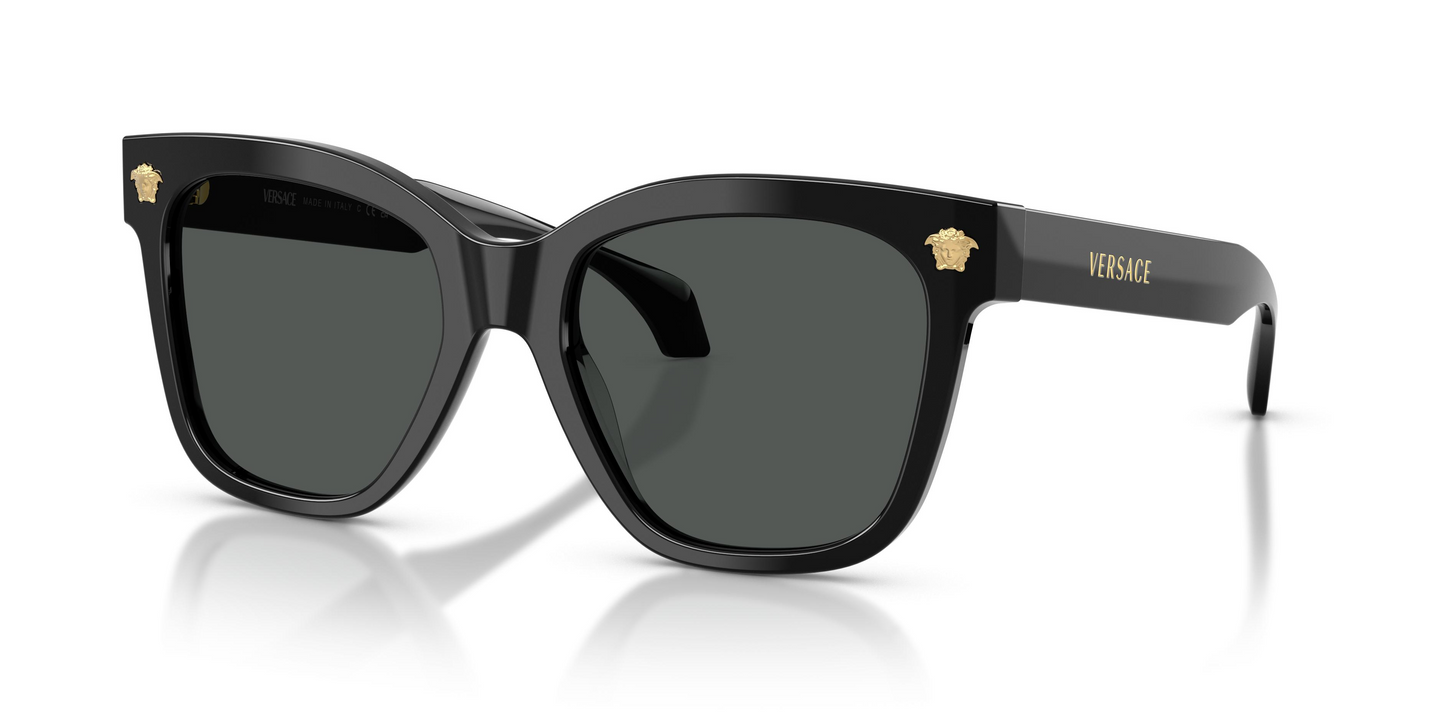 Versace VE4511 Sunglasses