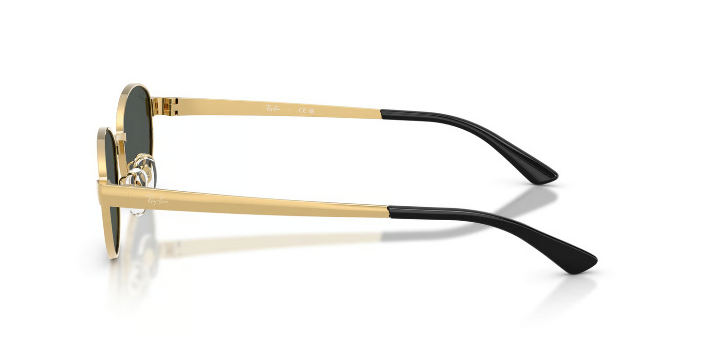 Ray-Ban RB3774D Sunglasses