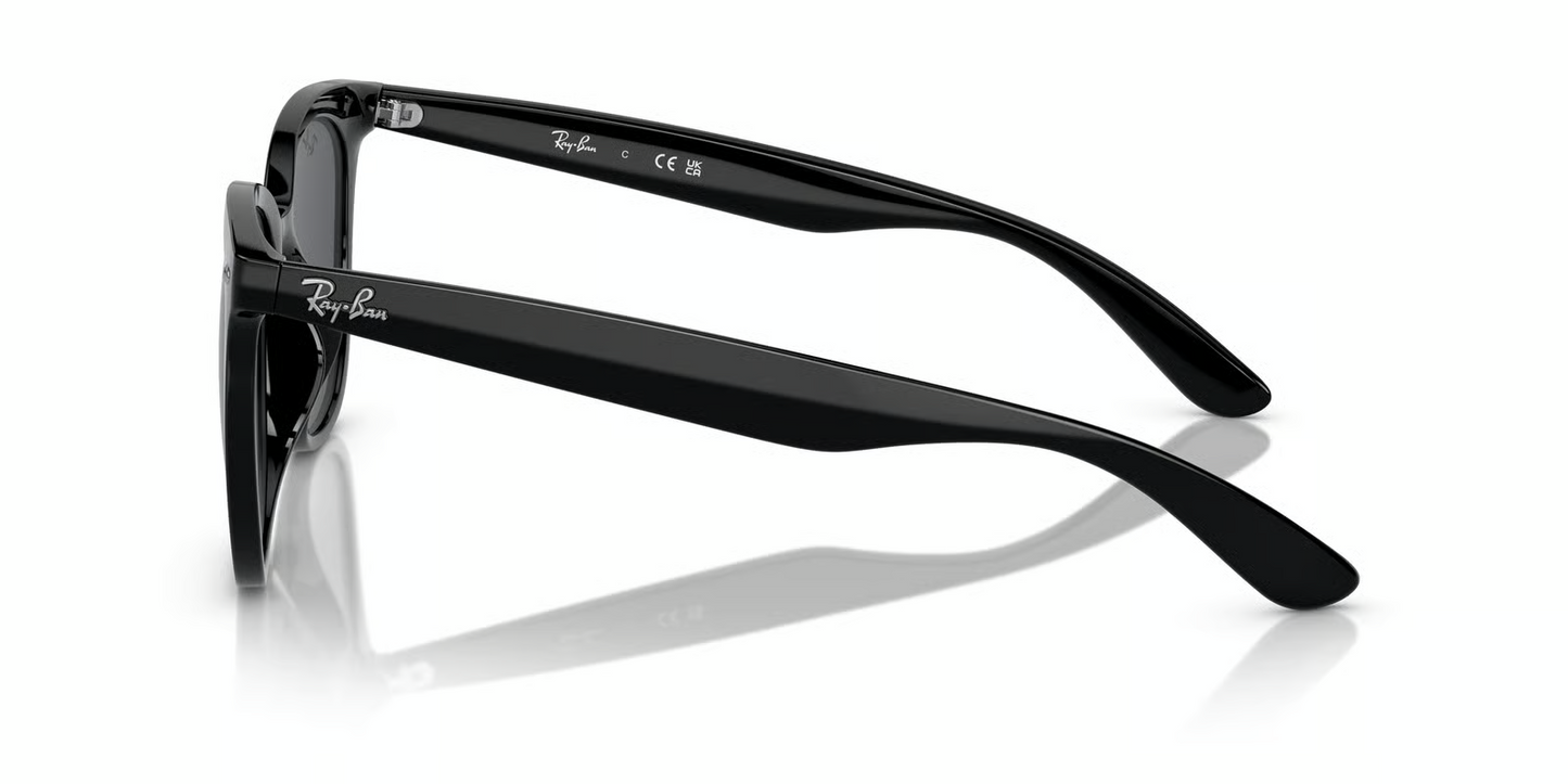 Ray-Ban RB4379D Sunglasses