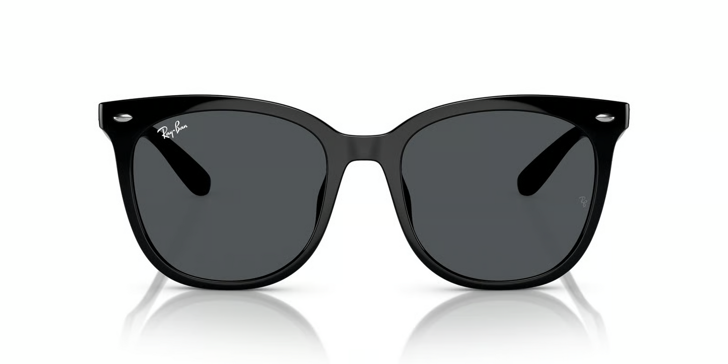 Ray-Ban RB4379D Sunglasses