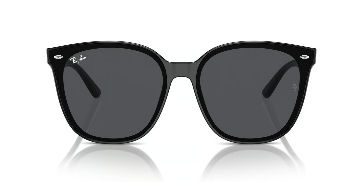 Ray-Ban RB4423D Sunglasses