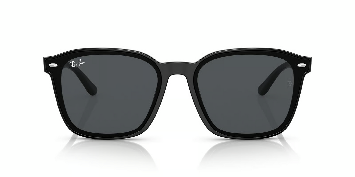 Ray-Ban RB4392D Sunglasses