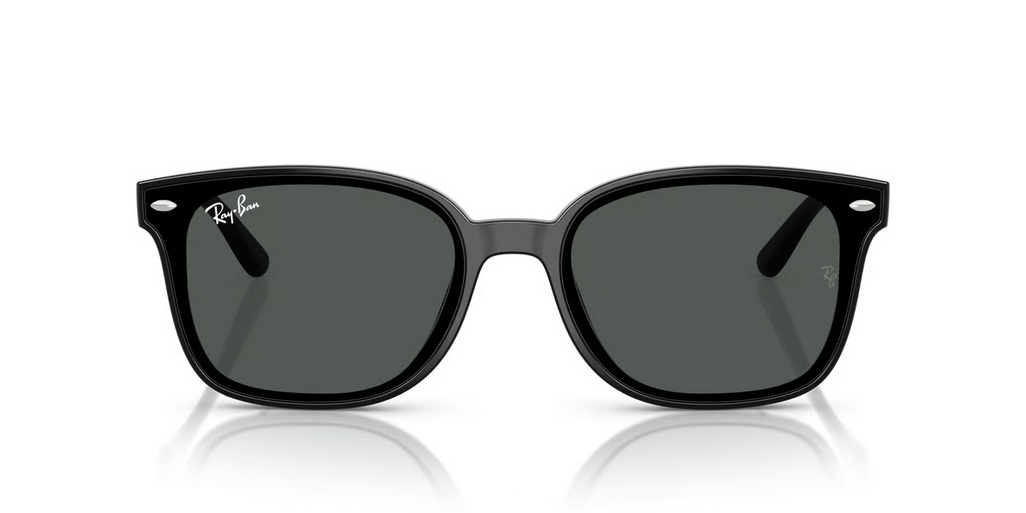 Ray-Ban RB4461D Sunglasses