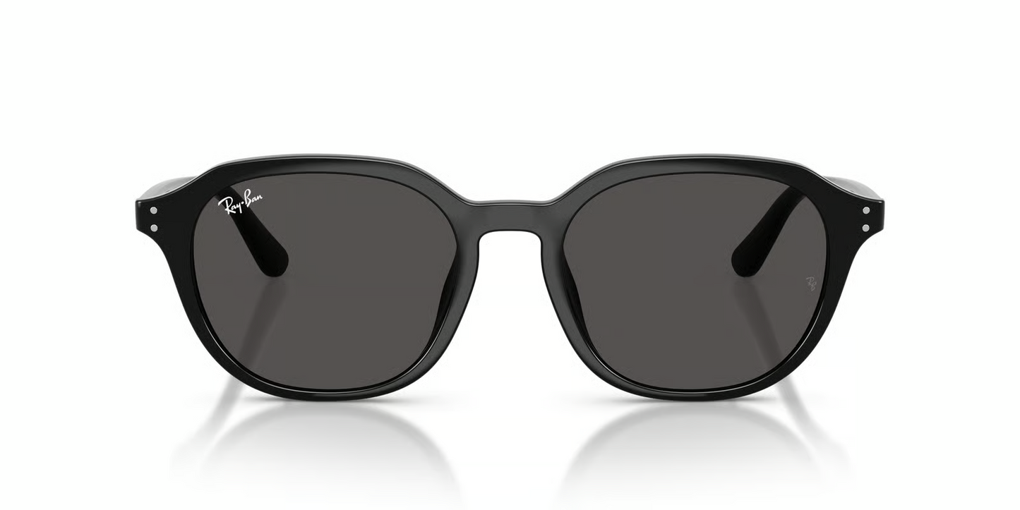 Ray-Ban RB4459D Sunglasses