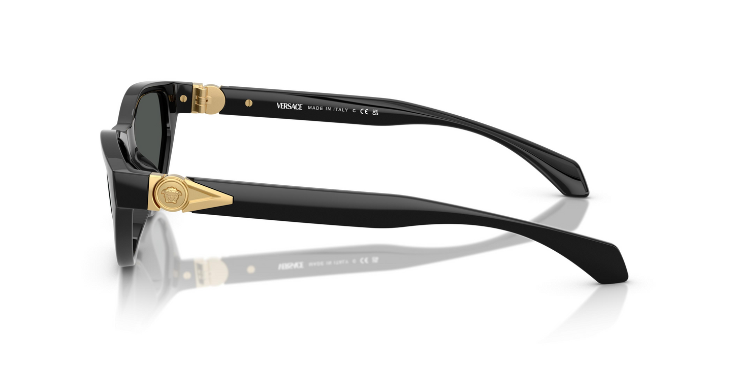 Versace VE4491U Sunglasses