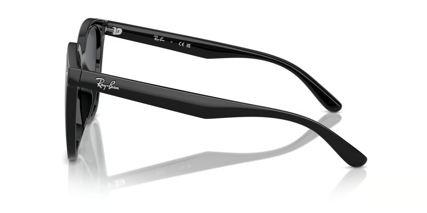 Ray-Ban RB4423D Sunglasses