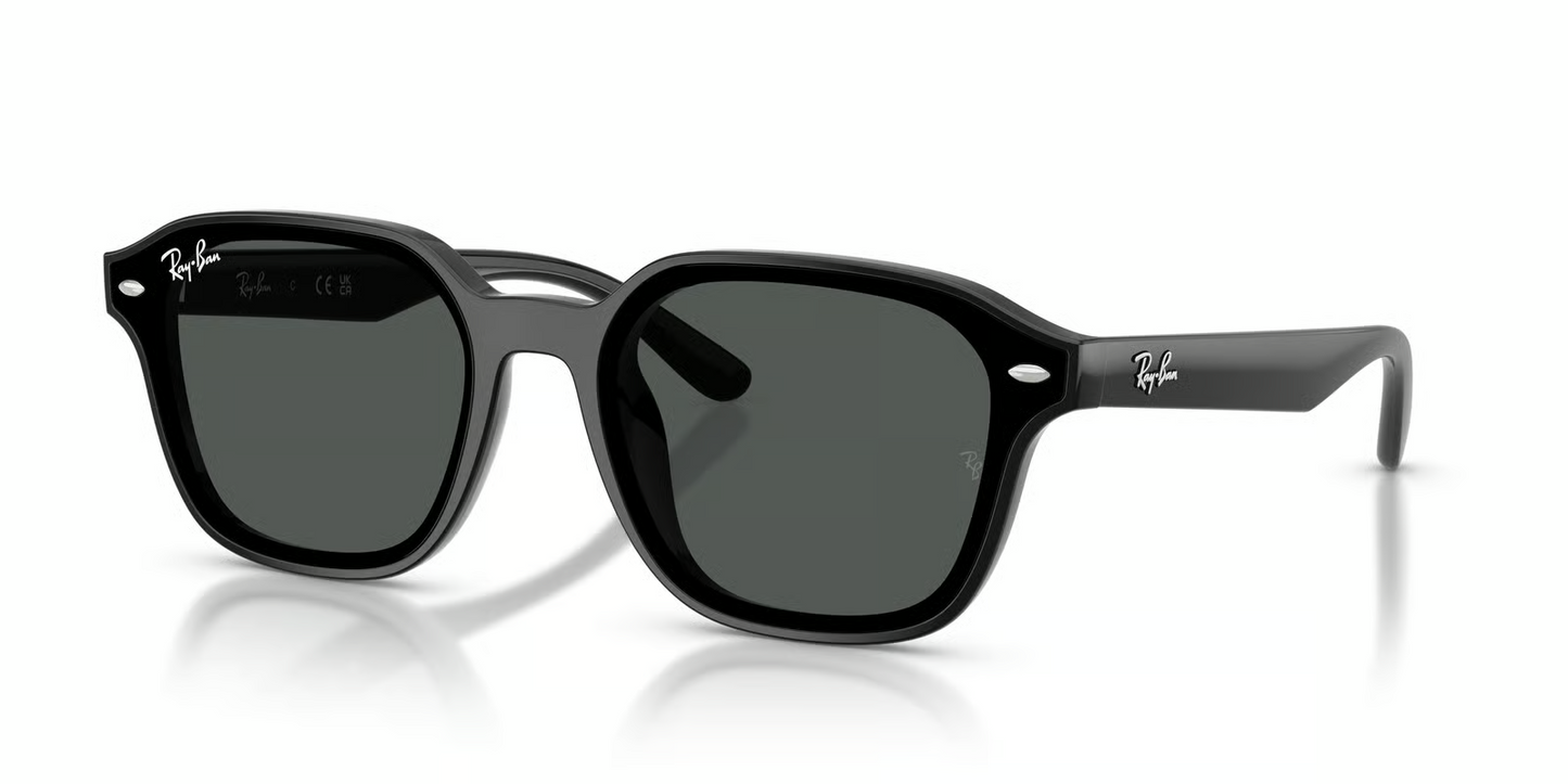 Ray-Ban RB4458D Sunglasses