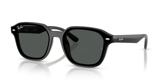 Ray-Ban RB4458D Sunglasses