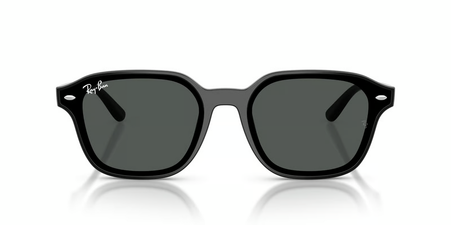 Ray-Ban RB4458D Sunglasses