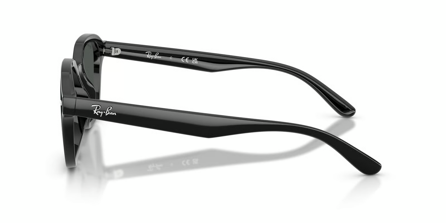 Ray-Ban RB4458D Sunglasses