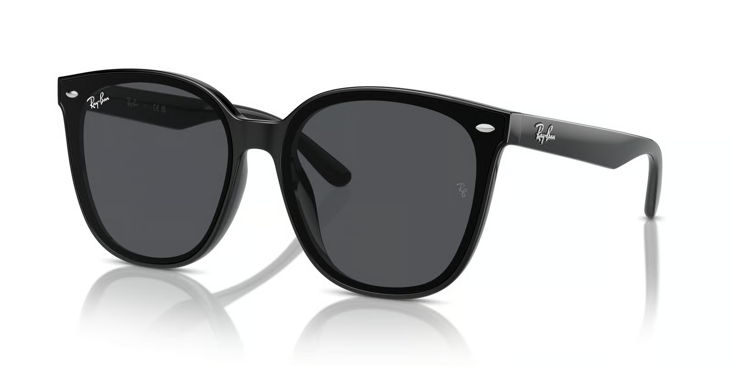 Ray-Ban RB4423D Sunglasses