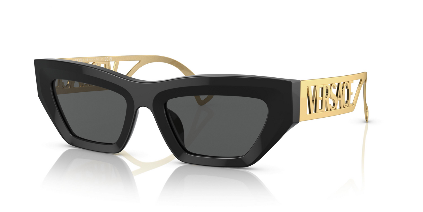 Versace VE4432U Sunglasses