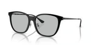 601/87 - Black with Light Grey Lenses