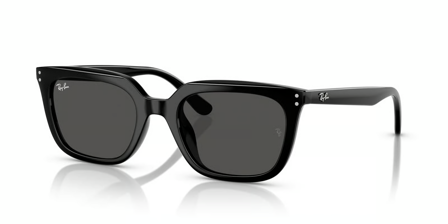 Ray-Ban RB4439D Sunglasses