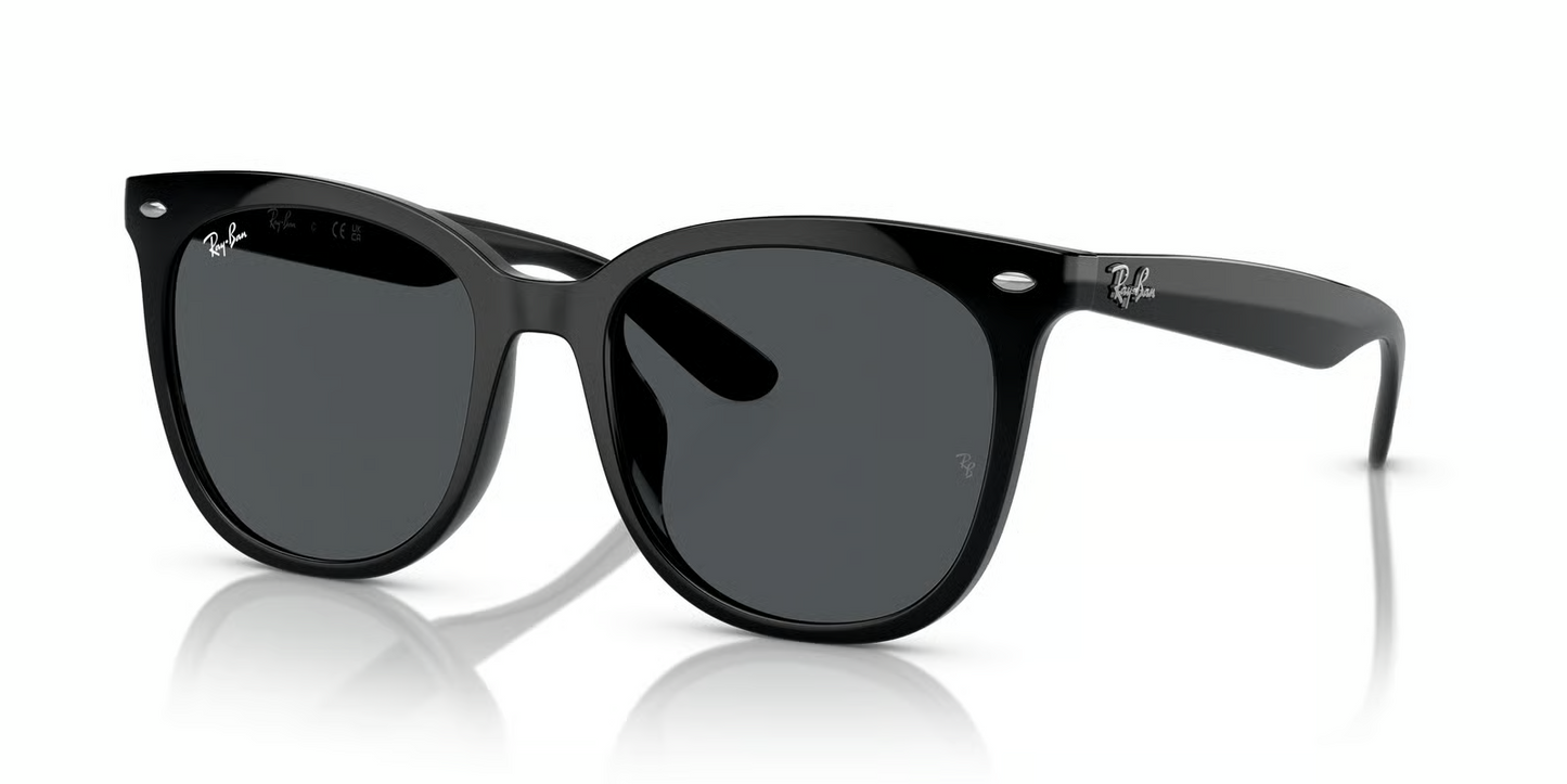 Ray-Ban RB4379D Sunglasses