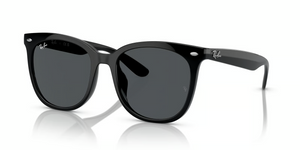 601/87 - Black with Dark Grey Lenses