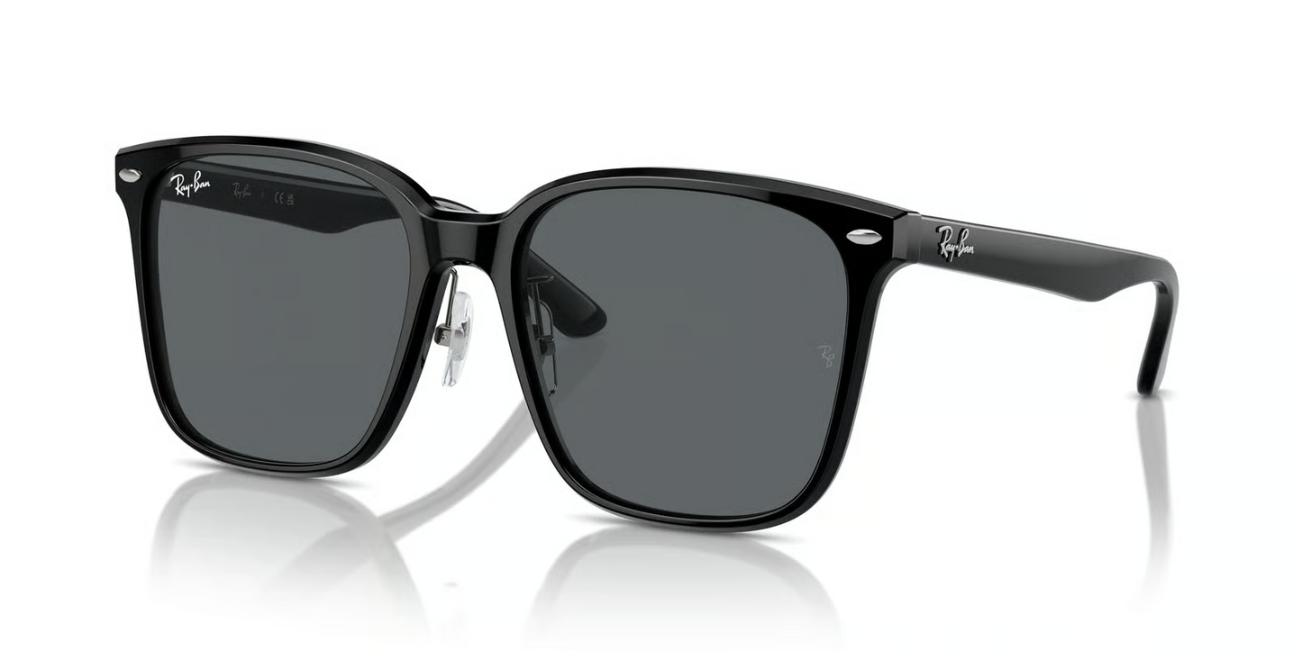 Ray-Ban RB2206D Sunglasses