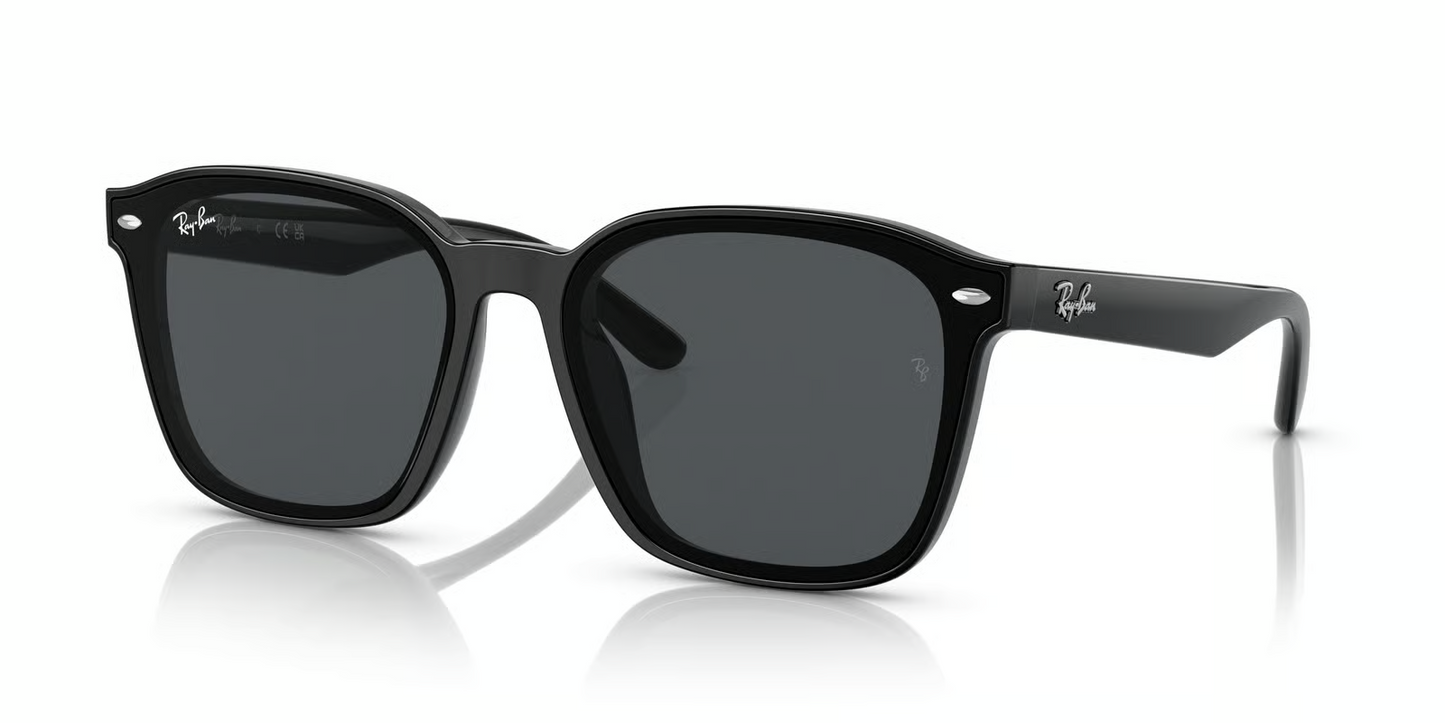 Ray-Ban RB4392D Sunglasses