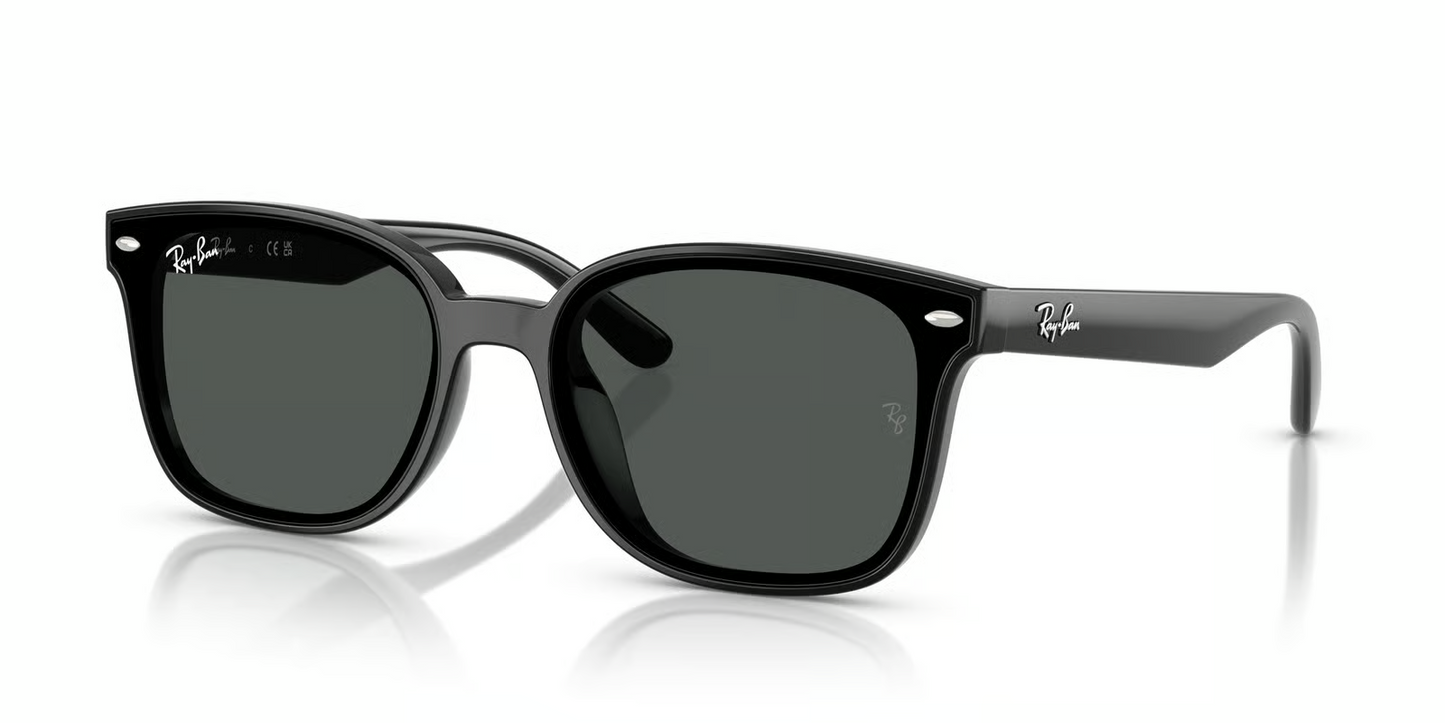 Ray-Ban RB4461D Sunglasses
