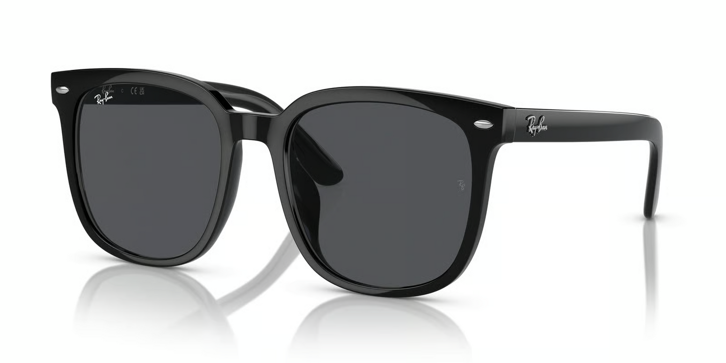 Ray-Ban RB4401D Sunglasses
