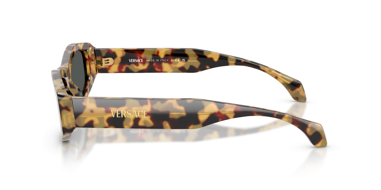 Versace VE4487F Sunglasses