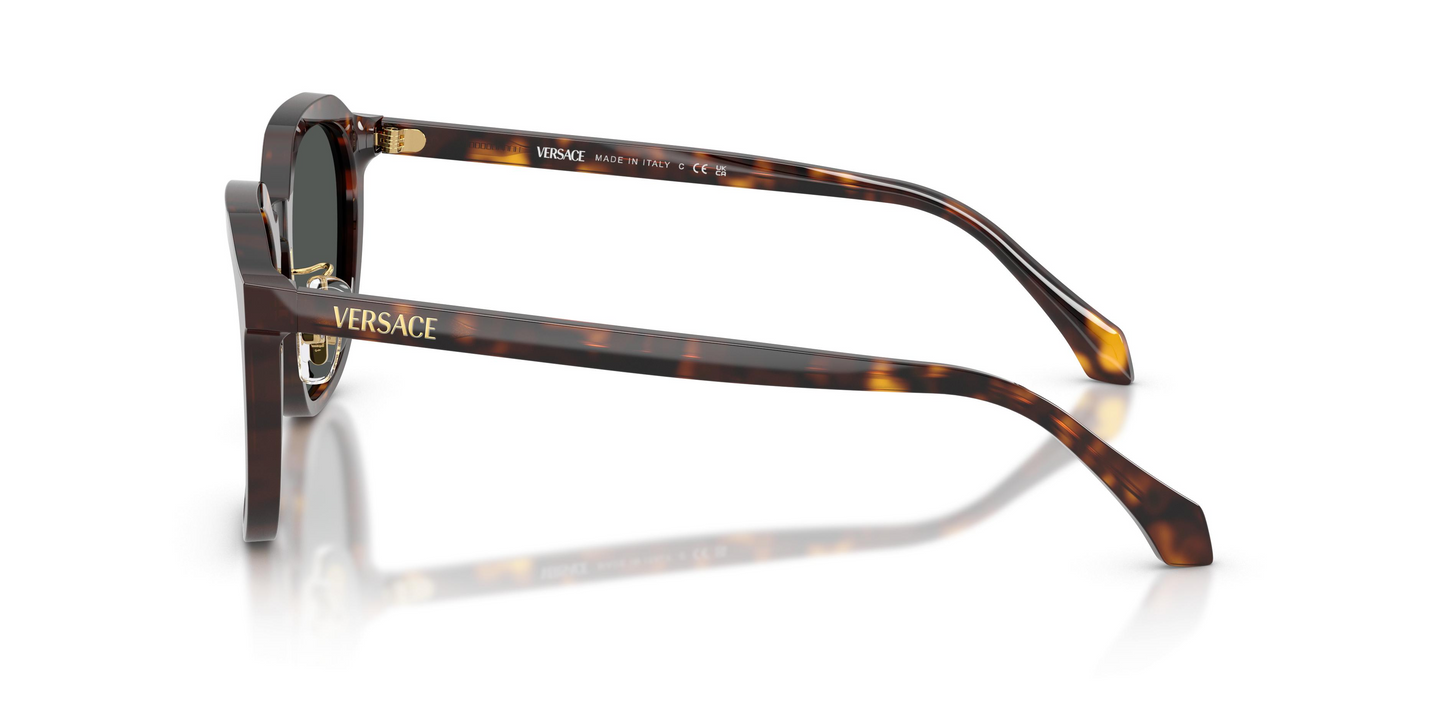 Versace VE4493D Sunglasses