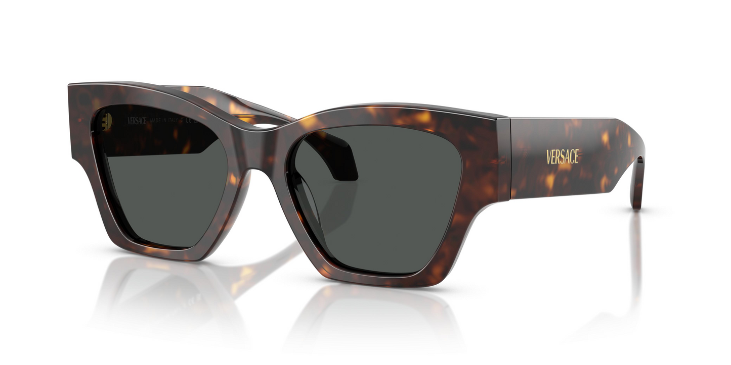 Versace VE4492U Sunglasses