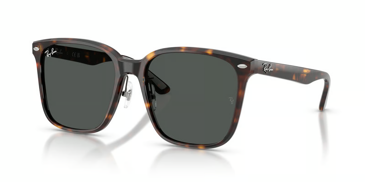 Ray-Ban RB2206D Sunglasses