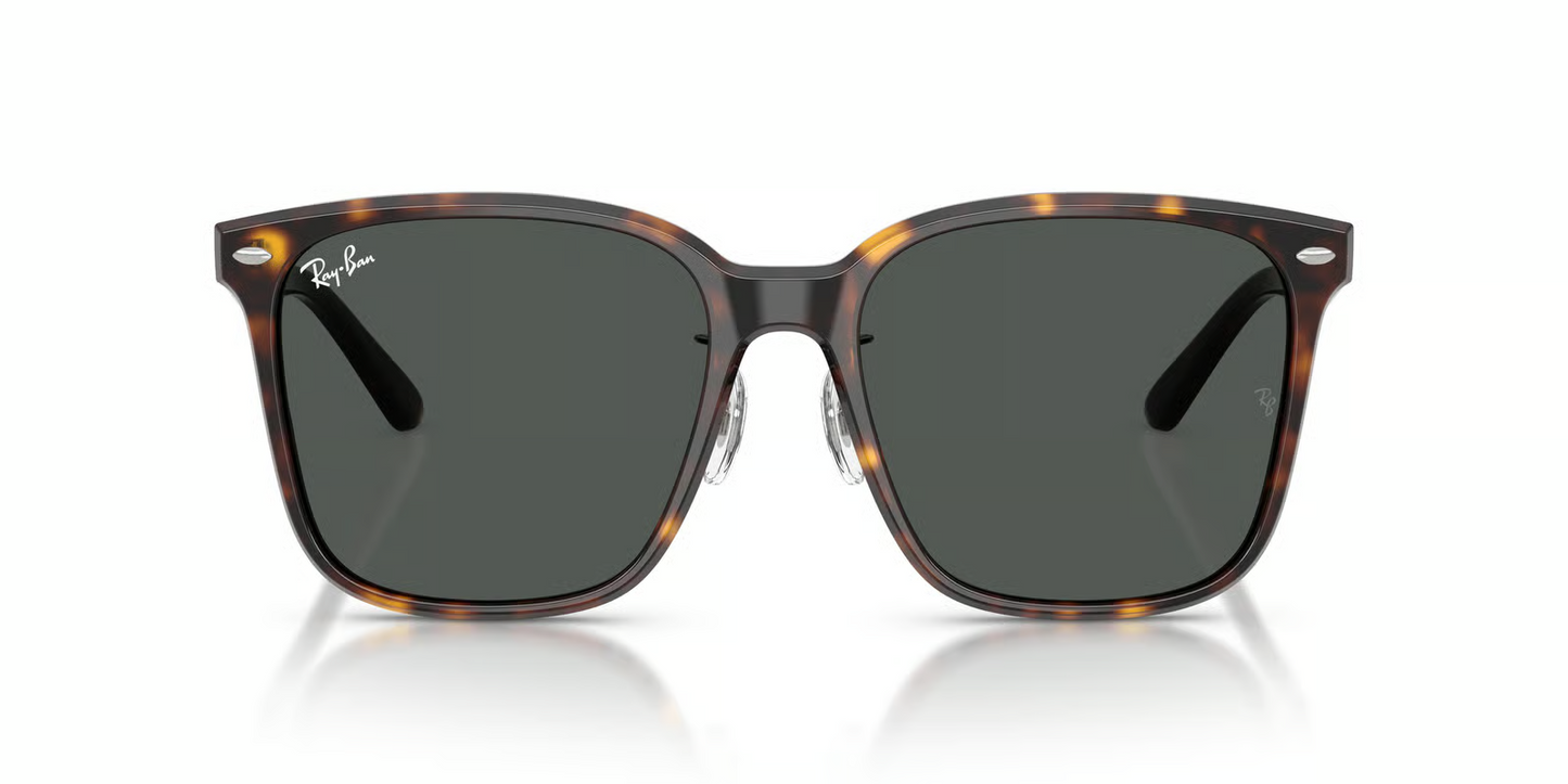 Ray-Ban RB2206D Sunglasses