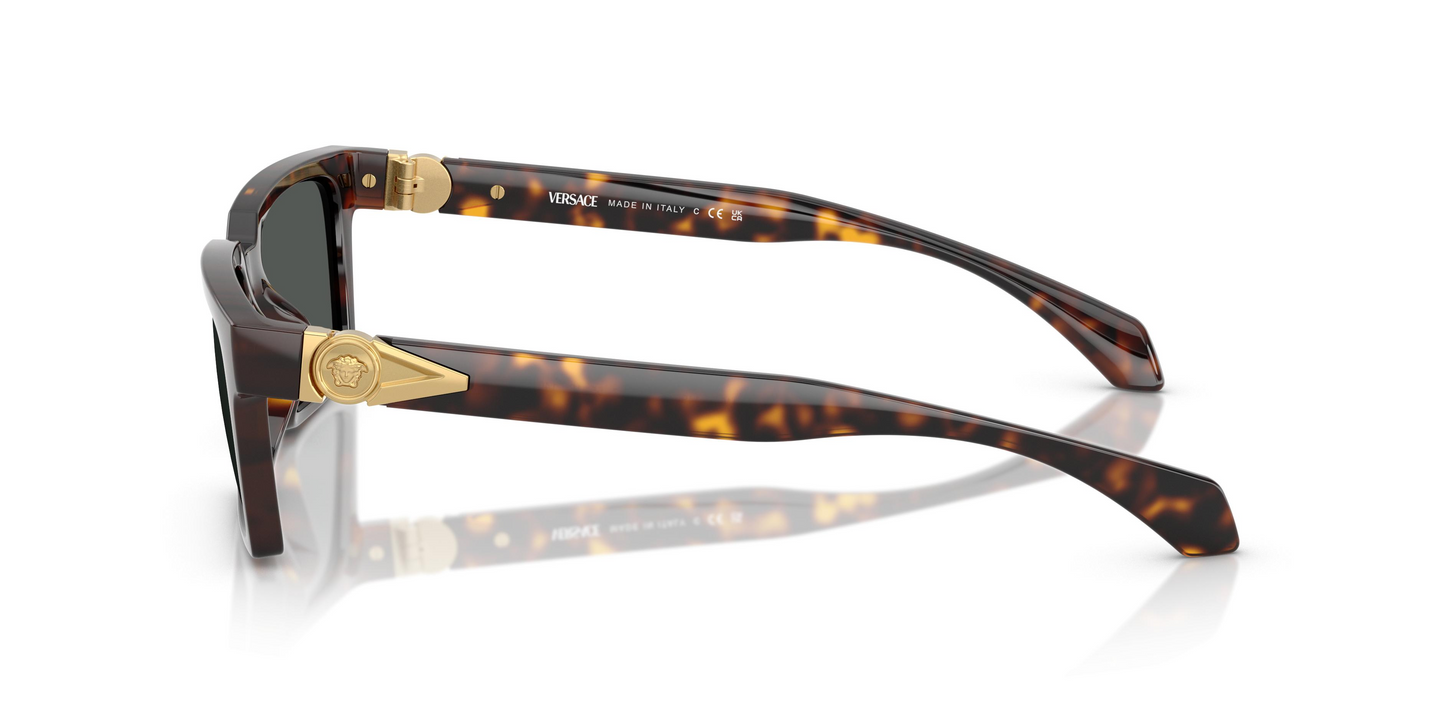 Versace VE4490U Sunglasses