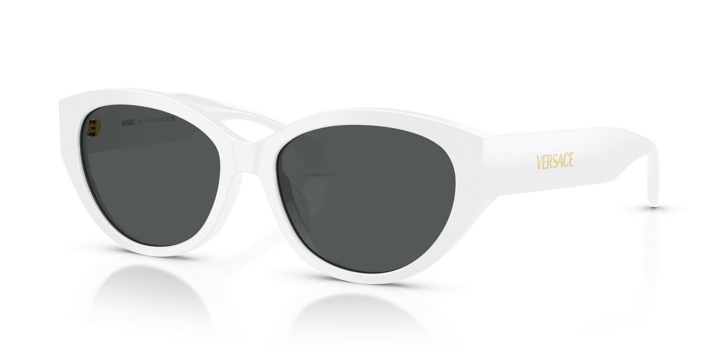 Versace VE4495D Sunglasses