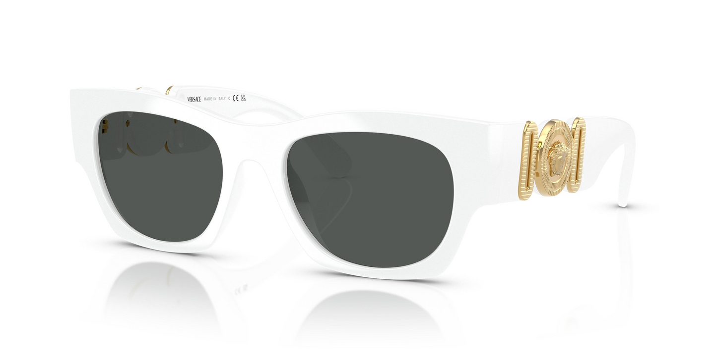 Versace VE4479U Sunglasses