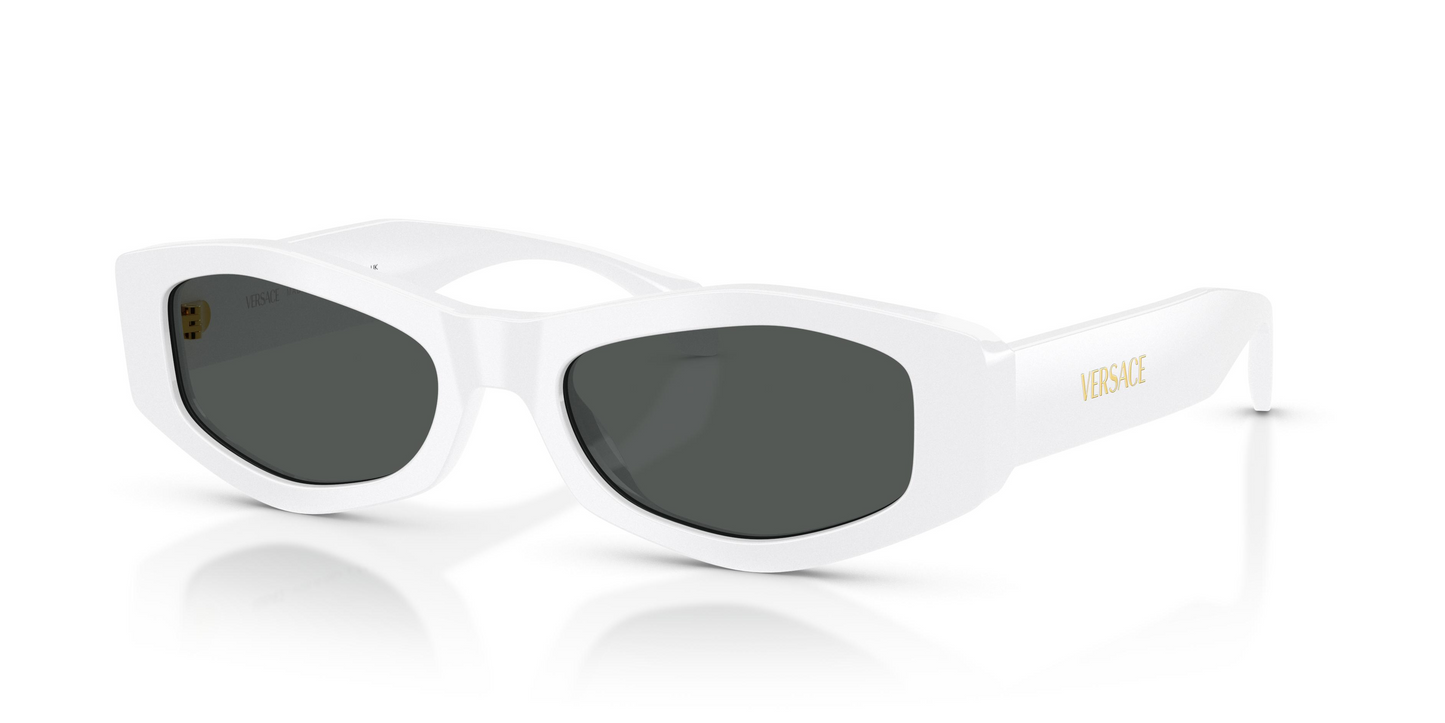 Versace VE4487 Sunglasses