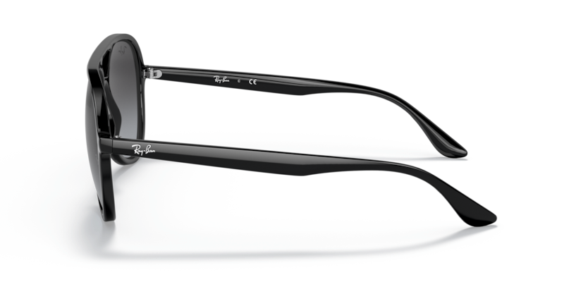 Ray-Ban RB4376 Sunglasses