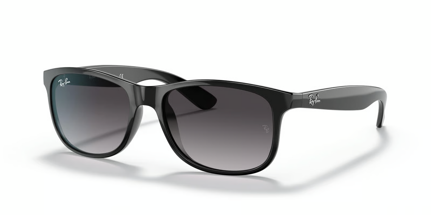 Ray-Ban RB4202 Andy Sunglasses