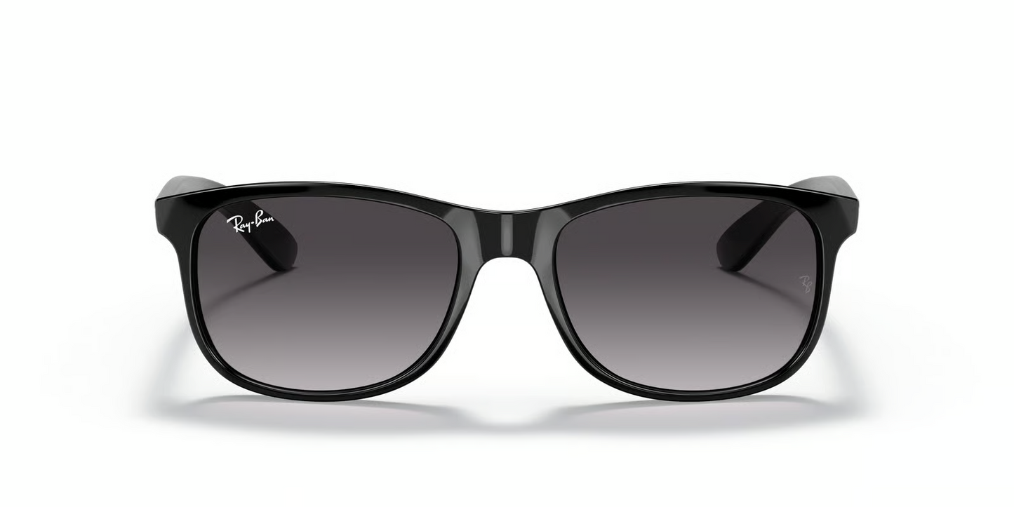 Ray-Ban RB4202 Andy Sunglasses