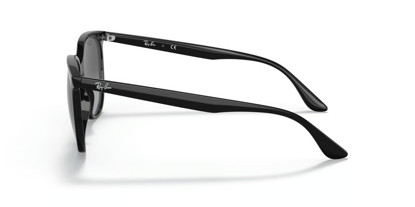 Ray-Ban RB4378F Sunglasses