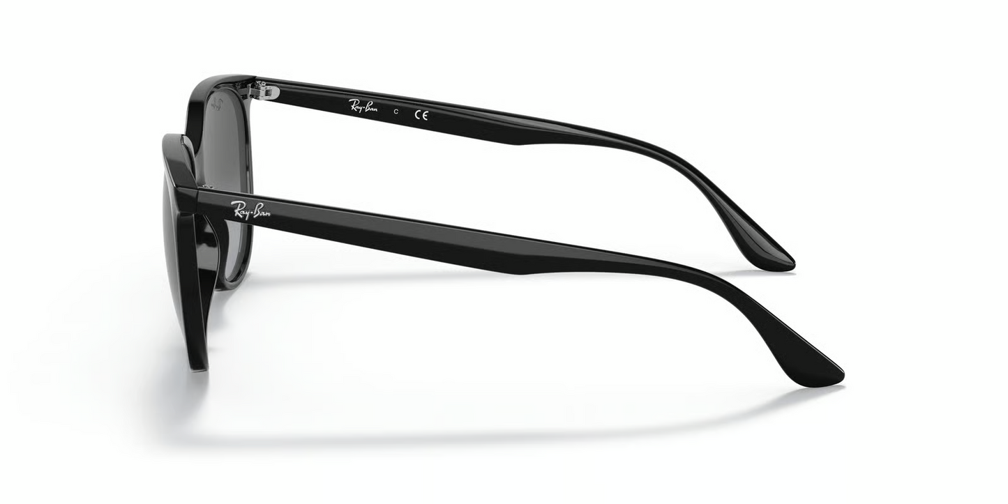 Ray-Ban RB4378 Sunglasses