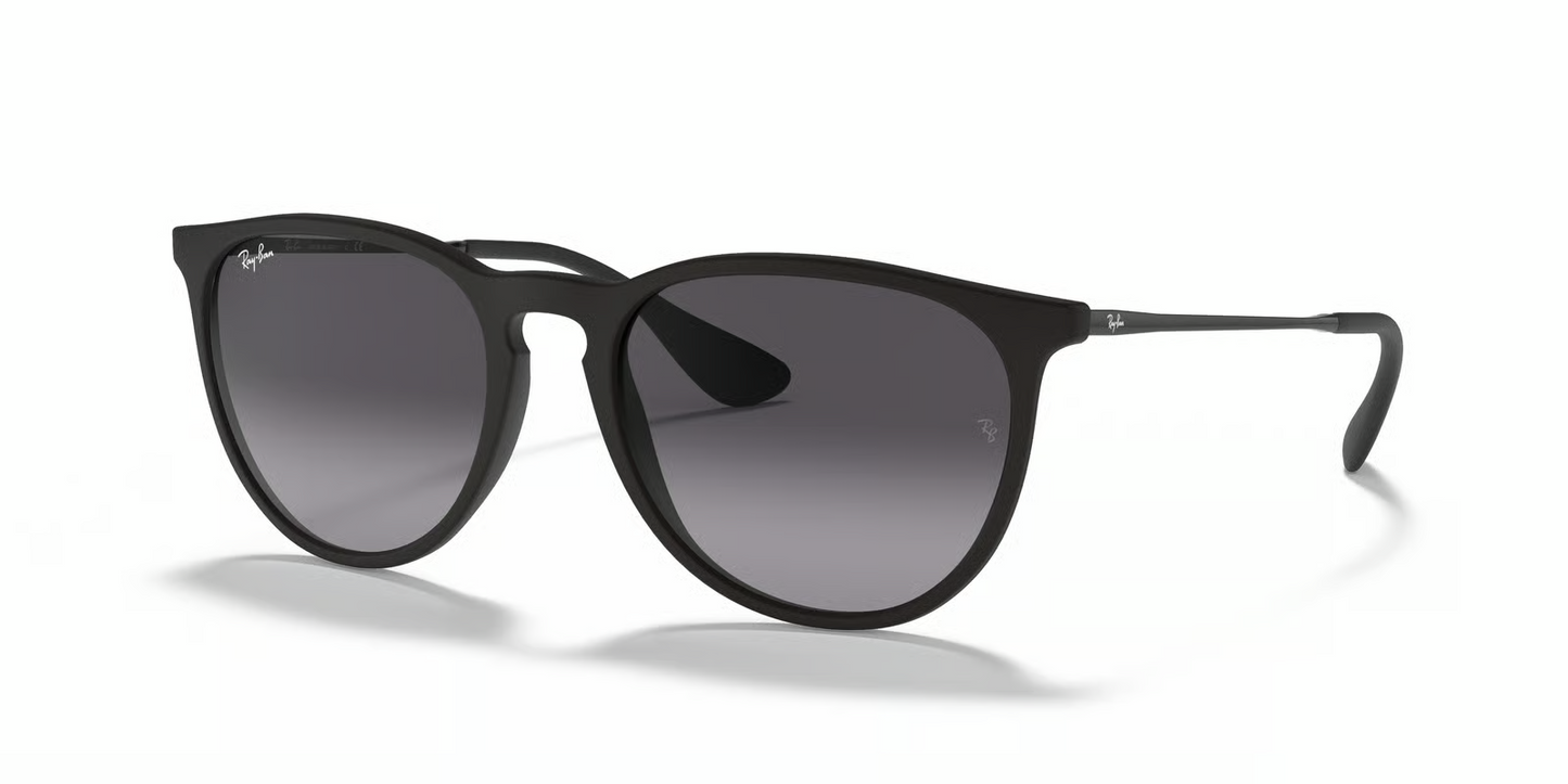 Ray-Ban RB4171 Erika Sunglasses