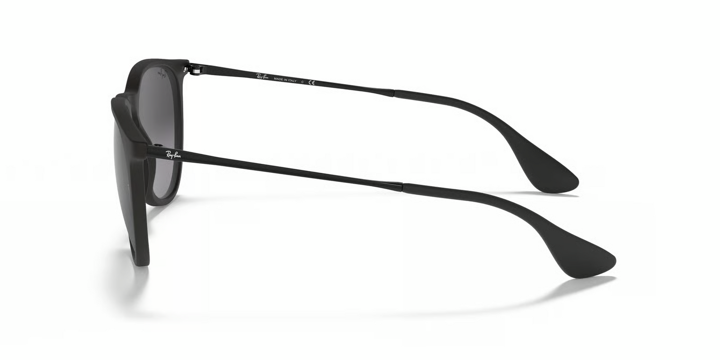 Ray-Ban RB4171 Erika Sunglasses