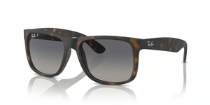 865/8S - Havana with Polarized Blue Lenses