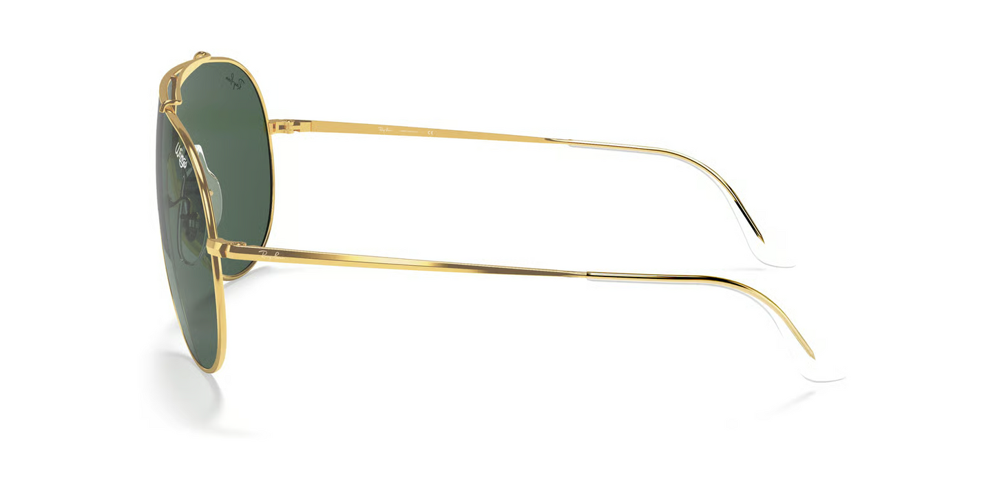 Ray-Ban RB3597 Wings Sunglasses